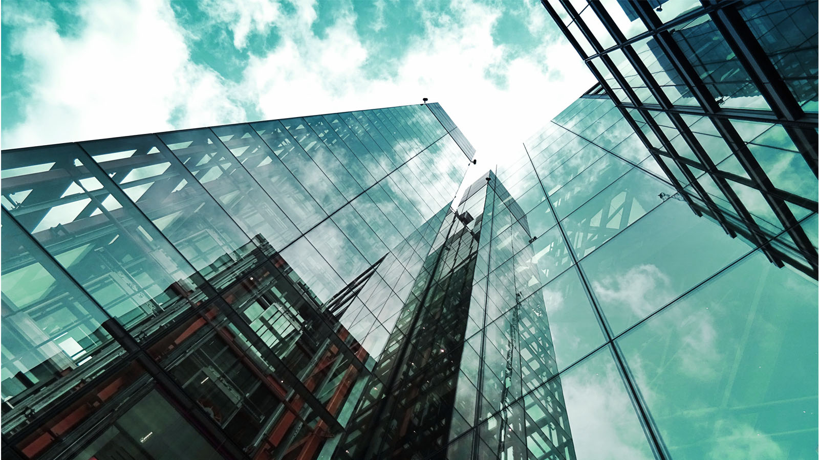 The future of your investment